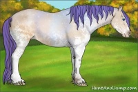 Horse Color:Painted Sable Champagne Splash 