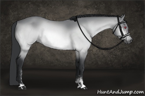 Horse Color:Bay Chinchilla Sabino