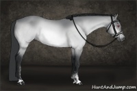 Horse Color:Bay Chinchilla Sabino 