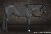 Horse Color:Blue Roan