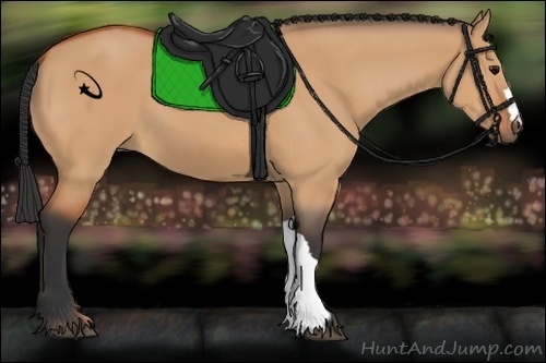 Horse Color:Bay Dun 