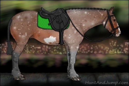 Horse Color:Bay Roan Frame 