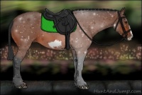 Horse Color:Bay Roan Frame