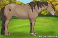 Horse Color:Classic Champagne 