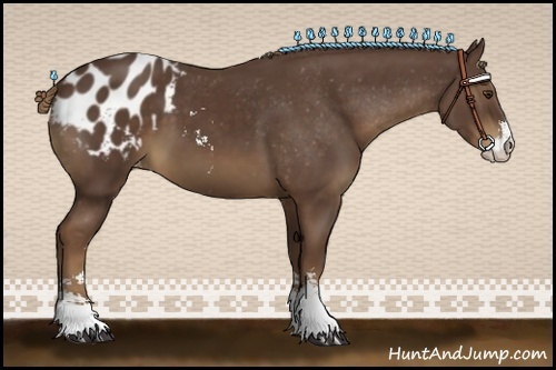 Horse Color:Liver Chestnut Sabino Blanket 