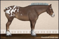 Horse Color:Liver Chestnut Sabino Blanket