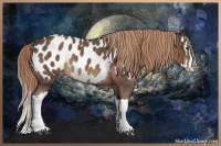 Horse Color:Liver Red Roan Splash Appaloosa 