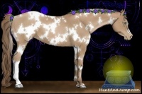 Horse Color:White Spotted Black Pearl 