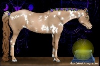 Horse Color:White Spotted Liver Chestnut Pearl Rabicano 