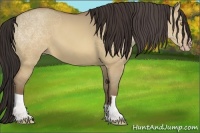 Horse Color:Sable Champagne Dun 