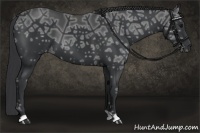 Horse Color:Black Ice 