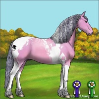 Horse Color:Watercolor Buckskin Tobiano 