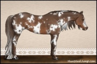 Horse Color:White Spotted Liver Chestnut 