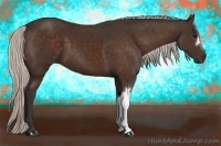 Horse Color:Silver Brown 