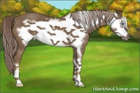Horse Color:Chocolate Palomino Frame 