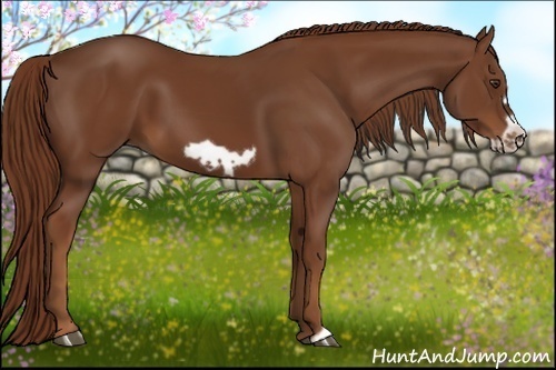Horse Color:Chestnut Frame