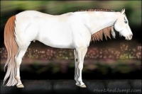 Horse Color:Amber Cream Champagne Pearl Dun Frame 
