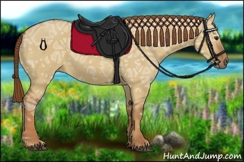 Horse Color:Red Dun Ice 