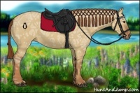 Horse Color:Red Dun Ice 