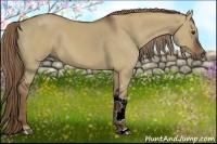 Horse Color:Liver Red Dun Tobiano