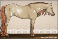 Horse Color:White Spotted Liver Red Dun 