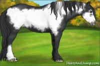 Horse Color:Black Frame 