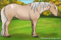 Horse Color:Silver Brown Roan Pearl Varnish 