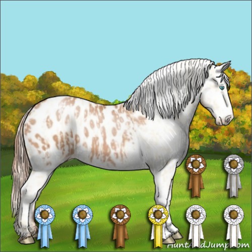 Horse Color:Palomino Pearl Appaloosa  and Bay Pearl Appaloosa 