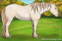Horse Color:White Spotted Smoky Black Pearl 