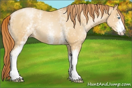 Horse Color:White Spotted Amber Champagne Pearl 