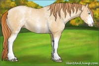 Horse Color:White Spotted Amber Champagne Pearl 