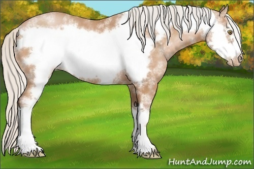 Horse Color:White Spotted Silver Bay Pearl Frame 