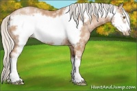 Horse Color:White Spotted Silver Bay Pearl Frame