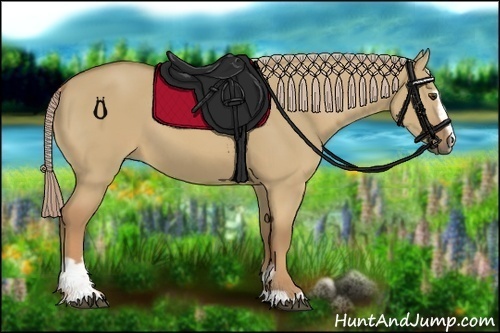 Horse Color:Palomino Dun Sabino 