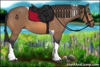 Horse Color:Buckskin Tobiano Rabicano