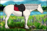 Horse Color:Silver Perlino Dun 