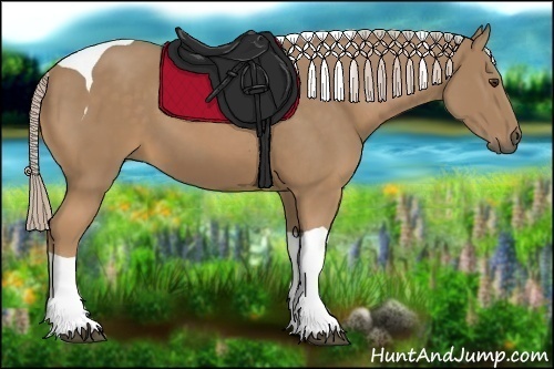 Horse Color:Palomino Tobiano 