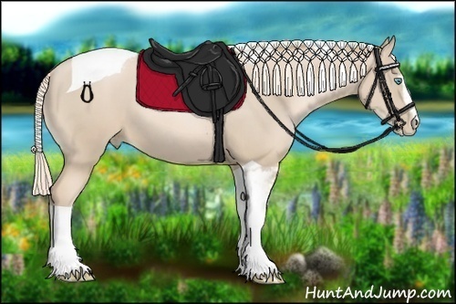 Horse Color:Palomino Pearl Sabino Tobiano 