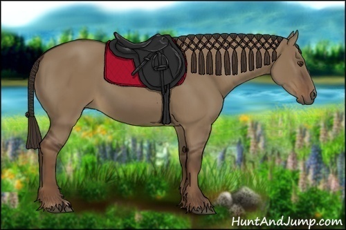 Horse Color:Liver Red Dun 