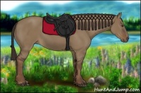 Horse Color:Liver Red Dun