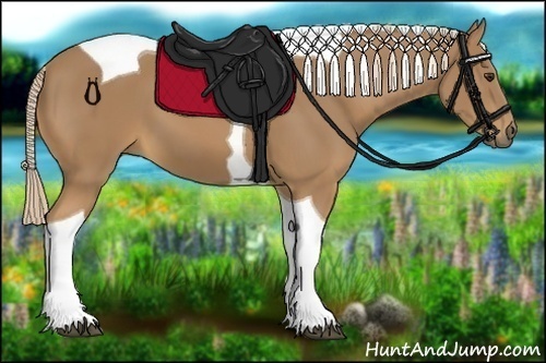 Horse Color:Palomino Tobiano 