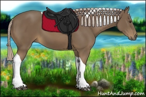 Horse Color:Chocolate Palomino Tobiano 