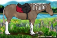 Horse Color:Chocolate Palomino Tobiano 