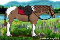 Horse Color:Chestnut Tobiano