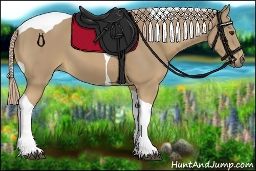 Horse Color:Palomino Tobiano 