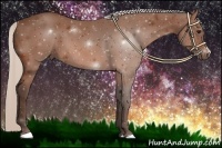 Horse Color:Silver Bay 