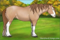 Horse Color:White Spotted Bay Pearl Splash 