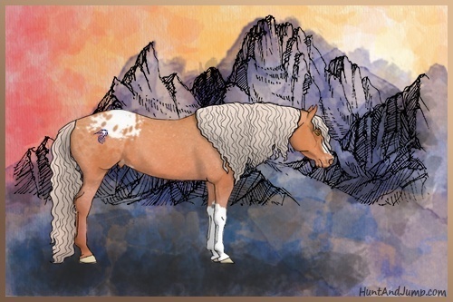 Horse Color:Silver Sable Champagne Appaloosa