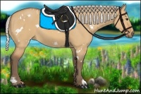 Horse Color:White Spotted Silver Bay Dun