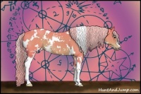 Horse Color:Watercolor White Spotted Liver Chestnut 